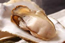 『佐渡ズワイ蟹』『能登ふぐ』『能登鴨』『直送 新鮮鮮魚の豪華3種盛り』など、贅沢豪華！満足間違いなし！