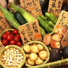 体に優しい、県産の季節の無農薬野菜を使用しております