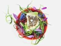 ◎記念日、誕生日
季節の色彩豊かな野菜を豊富に摂りいれた日本食材、バランスの整った味わいのあるお食事が楽しめます。

■アミューズ
■前菜2皿
■お魚料理
■お肉料理
■デザート
■小菓子とカフェ