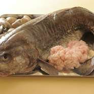 真鱈は喉肉や白子など捨てるところがない万能選手です。例えば、ココチャと呼ばれる喉肉などはバスクでは非常に高級食材でもあるのです。そんな鮮度抜群の北海道の幸は、この店には無くてはならないアイテムですね。