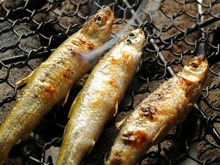 地元産はもちろん、調理法などによって食材の産地は変えています