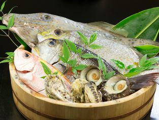 카메야마 상점