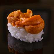 鮮やかなオレンジ色のバフンウニの握り。使用しているウニは、もちろんミョウバン無使用の海水ウニです。豊かな甘みと香りを存分に楽しめるよう、あえて海苔は巻きません。