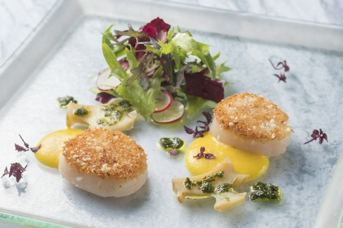 地産地消がテーマの極上フレンチ