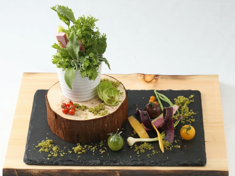 『鉢植え 大和田農園直送有機野菜 オリーブを土に見立てて 数種類ハーブのヴィネグレット』