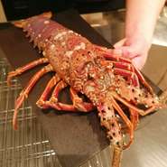 活き伊勢海老
14800円～24800円
※当日入荷する伊勢海老のサイズによりお値段が変わります。価格はスタッフにお気軽にお尋ね下さい。

※入荷状況によりご提供出来ない場合がございます。

