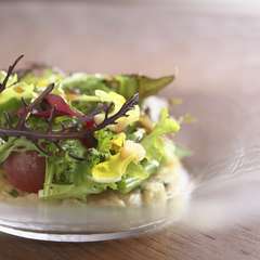 旬の野菜たっぷり。野菜自体の甘みや風味が楽しめる『ミックスハーブサラダ』