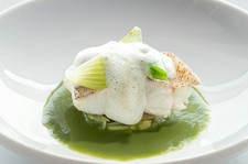 魚料理・肉料理からお好みの2品と他5品を合わせた全7品のディナーコース