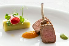 オマール海老の茶碗蒸しや魚と肉のWメイン。地産食材にこだわり感性豊かに仕上げた全8品のディナーコース