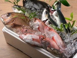 九州全域で水揚げされた魚介類のみを仕入れ