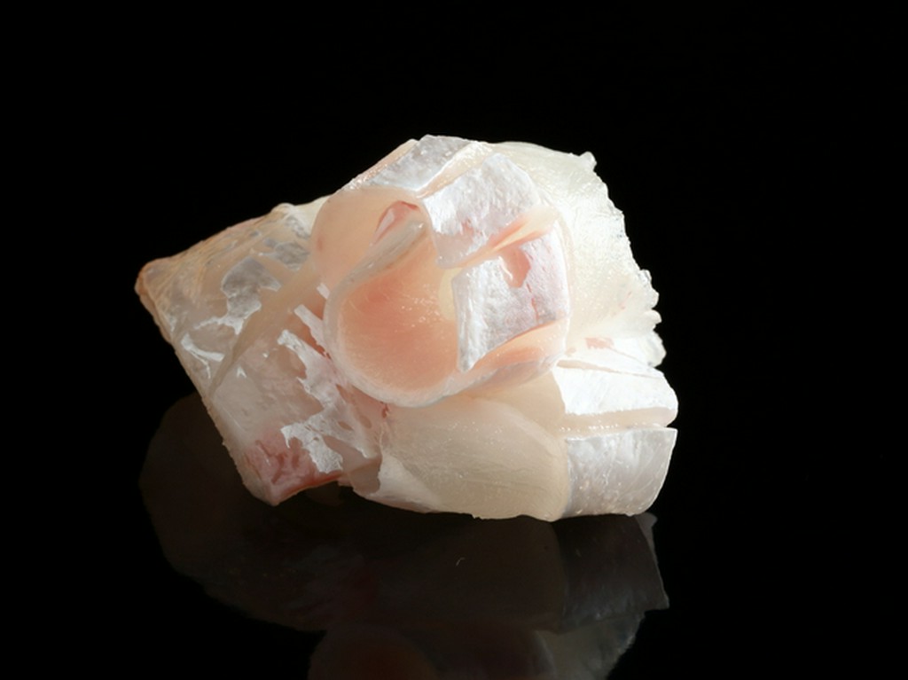 一切れの刺身にも切り方、厚みにこだわりを持つ『鯛』