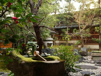 料理はもちろんお茶にも、敷地内から汲み上げた井戸水を利用