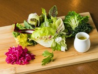 当店では奈良県生駒市にある「ひらひら農園」でこだわって生産された野菜が沢山使われています。彩り豊かな野菜が持つそれぞれの個性を感じられるお料理色々。