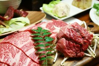 ［税込6500円］食事7品90分飲み放題付プラン