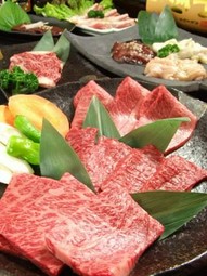 希少部位と特選のハラミ（またはサガリ）が堪能できるコース