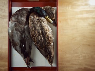 顔の見える農家や猟師の方々から届く、納得できる食材