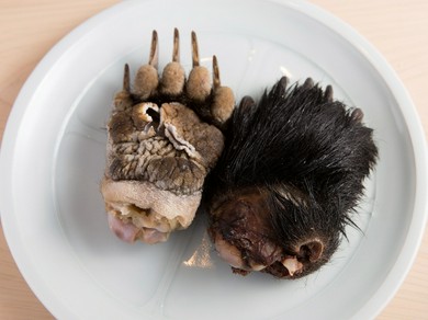 食材にこだわっている