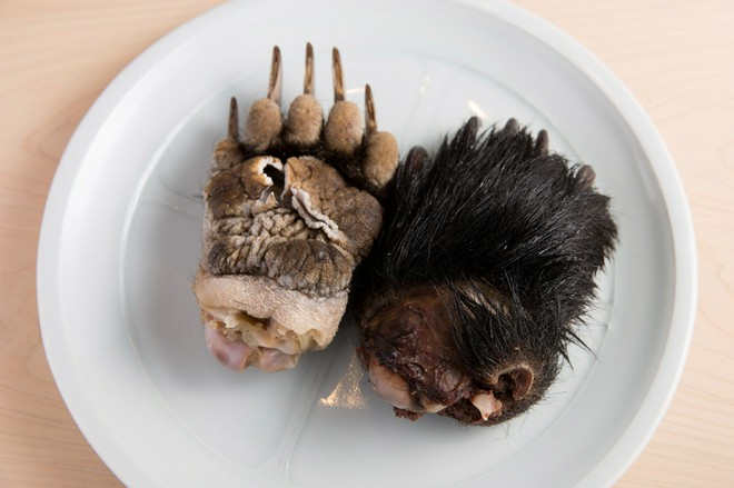 食材にこだわっている