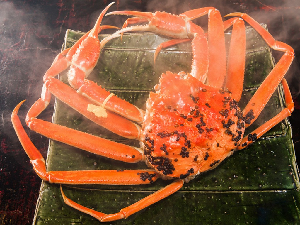 蟹そのものの味わいを堪能できる『越前産ズワイガニ』