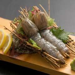 珍しい逸品！博多湾で獲れる『幻の生シャコ刺身2匹』
