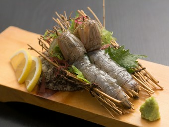 珍しい逸品！博多湾で獲れる『幻の生シャコ刺身2匹』