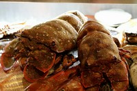 セットメニューはございません。
ディナー同様アラカルトにてお好きな食材とお好きなボリューム、お好きな調理法にてご注文くださいませ。
調理法はスタッフが色々とご提案の上、オススメ致します!