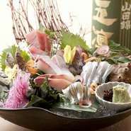 吟味した素材を使っているのが【ごだいご新宿NSビル店】の料理。おでんの具材は、人気の牛すじから定番の練り物まで、全国各地の名品を取り寄せます。さらに、鮮魚は市場に出向いて仕入れています。