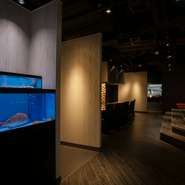 生け簀がある店内。注文を受けたあとすぐに、生け簀から食材を出します。そのため、魚介の新鮮さには自信あり。鉄板で調理をほどこし、カウンター席ならば出来立て熱々の料理を食べられます。