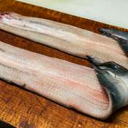 地元にある老舗問屋から仕入れるウナギは、鹿児島や熊本、宮崎など、九州各県からその時に一番よいものを厳選しています。脂と味ののりがよく、身も厚い1㎏3～4本サイズのウナギにこだわっています。