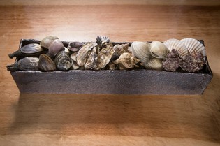 調理の直前まで生きている貝、動いているところにもご注目を