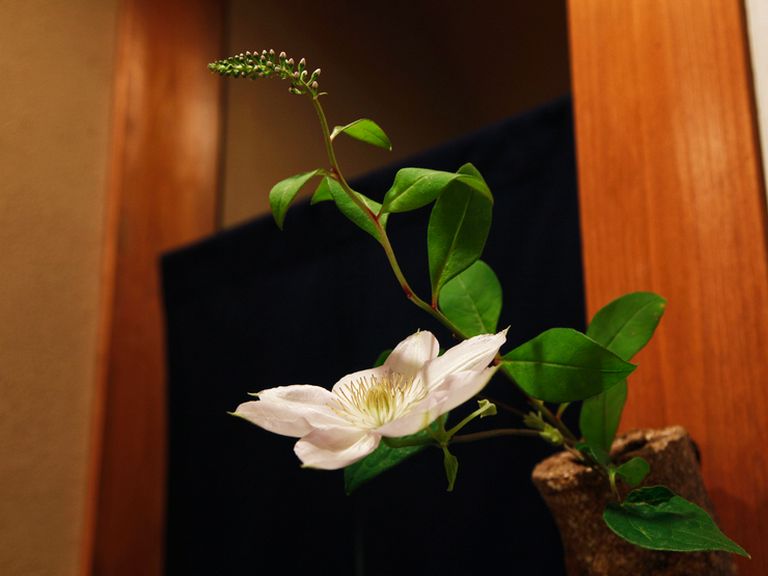 伝統を重んじながらも、時代の味を求める嗜好にも寄り添う京料理