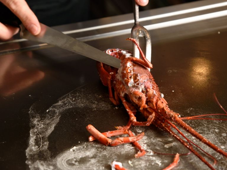 華やかなパフォーマンスに、会話も弾む淑女たちの集い