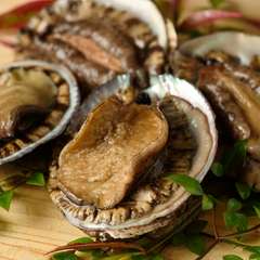 柔らかく、ふっくらとした身の食感を楽しめる『鮑』