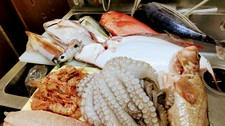 ご予算におおじてシエフが旬の新鮮なお魚を使ってお料理をするコースです。お楽しみなコースです
