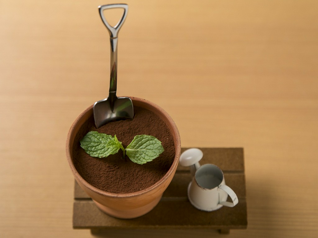 まるで本物！見た目も愉しい『植木ばちのティラミス』で幸せ気分