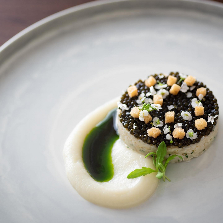 Dinner Haute couture