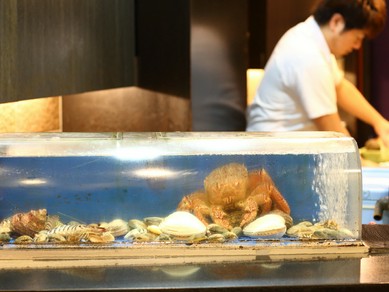 水槽前のカウンターは小さな水族館！お子様も楽しめます。