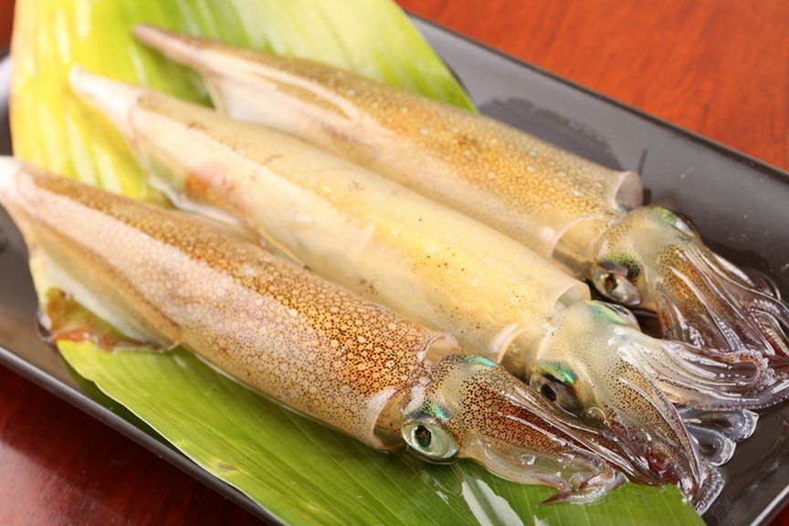 北海道産「イカ」の透き通った美しさに心奪われ、旨みに感動