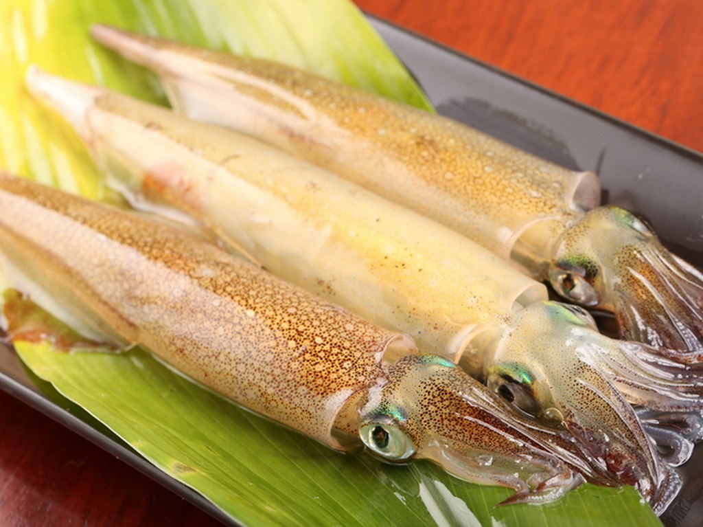 北海道産「イカ」の透き通った美しさに心奪われ、旨みに感動