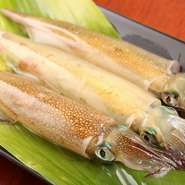 北海道で欠かせない名産「イカ」。旬の時期には必ず注文したい一品です。5月は「ヤリイカ」、6月は「スルメイカ（マイカ）」漁が解禁。コリッとした食感と甘みのある旨み。新鮮ならではのおいしさを堪能できます。