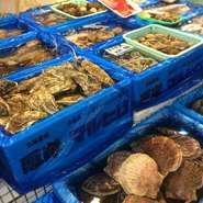 函館市内最大級の水槽を所有し、活貝、活イカなどの鮮度はピカいちです。