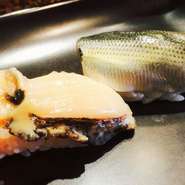 【蝦夷あわび】森山の夏の鮑は函館入舟町の下の海で獲れる函館の蝦夷あわび！黒鮑よりも一回り小さいですが、お刺身や握りでいただくと、磯の香りとコリッとした食感が特長。コラーゲンもたっぷりです。

【新子（小肌）】
出世魚のコノシロの幼魚で、親の方は冬や春先が旬になりますが、幼魚のシンコは夏場のみの季魚。職人の意地と技と粋が詰まった寿司屋にとって大切なネタ。1枚漬けの秋田産の新子です。