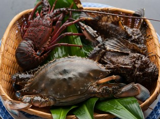 鮮度を大事に、直前までいけすで泳ぐ魚
