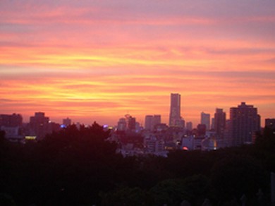 お昼はもちろん、夕方も夜もお楽しみいただけます。