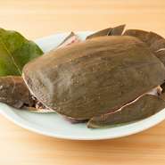 鮎や鰻、ジビエなど、定評のある本店と同じ食材を使用しています