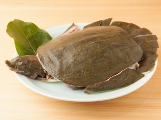 鮎や鰻、ジビエなど、定評のある本店と同じ食材を使用しています