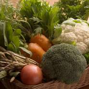 敷地内にある畑で野菜やハーブを、愛情かけて育てています。その日に収穫した鮮度抜群の野菜から感じられるのは、瑞々しさに力強さ。多くの方に味わっていただきたいです。