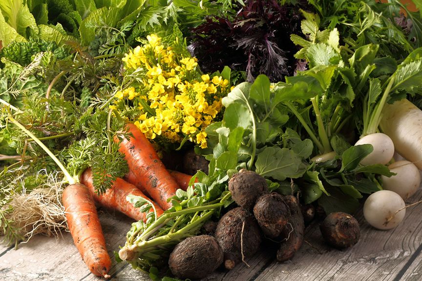 生産者とも交流。大切に育てられた食材を使用