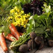 メインとして食べても引けをとらない、丹波篠山の「のり・たま農園の有機野菜」も使用。化学肥料を使用せずに栽培されているので、野菜本来の甘みと旨みが楽しめます。