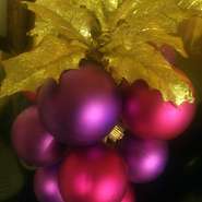 X'masはおまかせでお一人様7,000円と10,000円の２つのフルコース料理をご用意致しております。24日のみ17時30分～と20時～の２部制に分けて承っております。このクリスマスディナーは22日～25日もご予約を承ります。